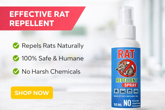 New Rat Repellent Spray – Safe, Effective, and Eco-friendly.